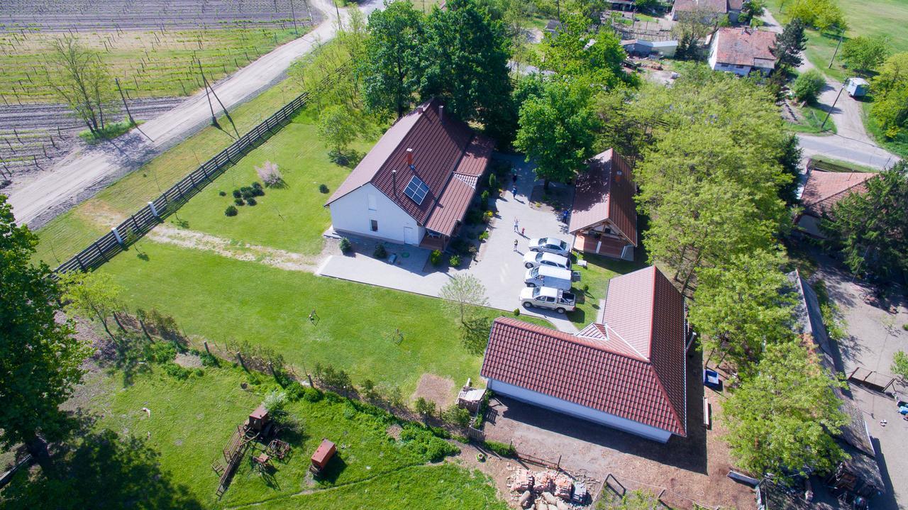 Hotel Tölgyfa Vendégház Kiskoros Esterno foto